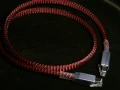 PICT9194-lan-cable.JPG
